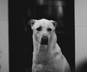 Paul