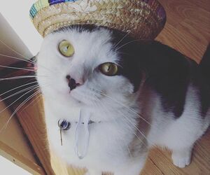 Breadbox17