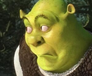 AyeitzCole
