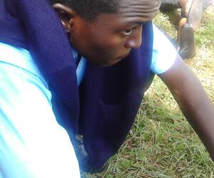 tonnie