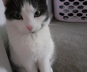Sebastian