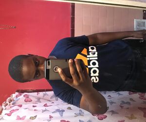 mir215_welive