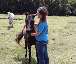 countrygirl101