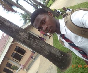 andrew98