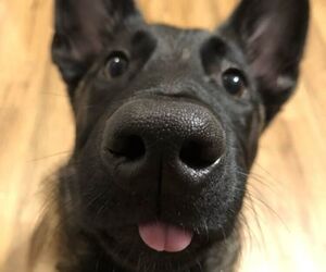 Profile Tobias