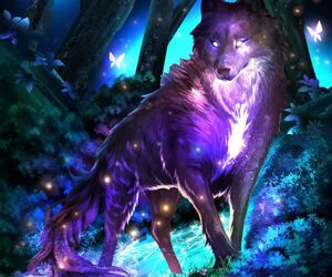 wolf