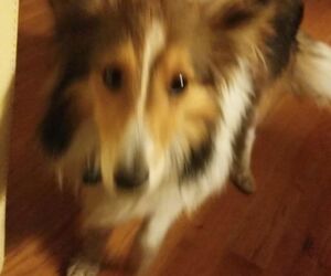 Ben