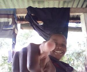 Alvinmarende