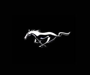 Mustangs4life
