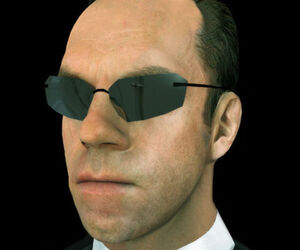 Profile Mavin