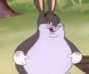 Hekk it