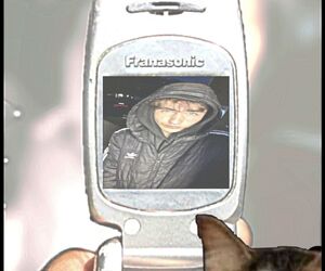 Nils