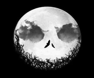 Scream_Of_Sile