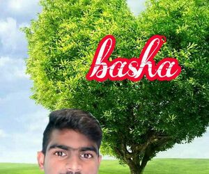 Basha