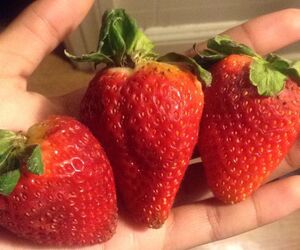 LonelyStrawber