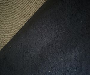 Profile Hdybsrj fdg