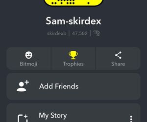 skirdexb