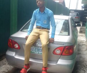 david