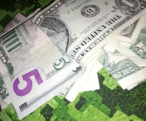 gg-mike dog[$]
