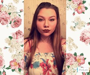 Sierrareed667