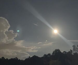 NJ