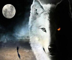 AlphaWolf867