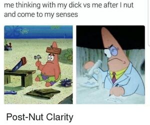 succfornut