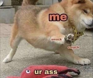 jimmy_69