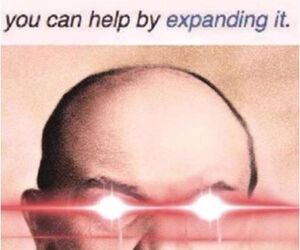 Hairold