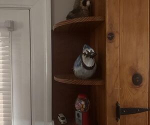 Max