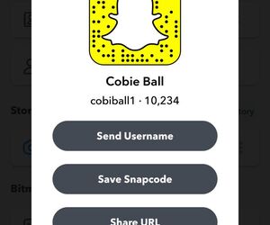 Cobi