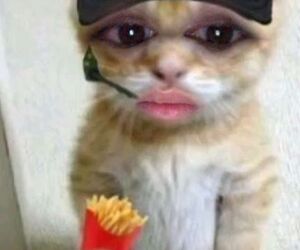Loni