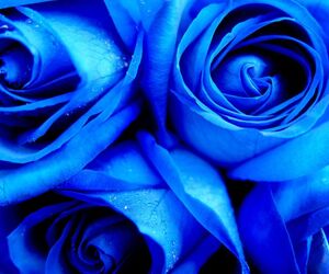 QueenBlue124