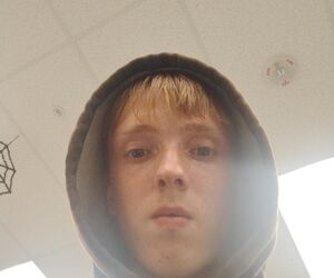 Andrew