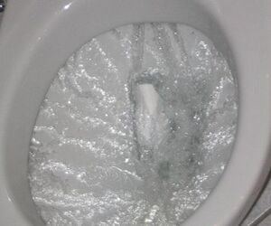 toiletguy