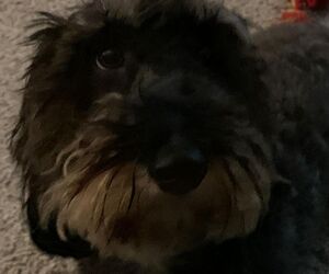 Chloe