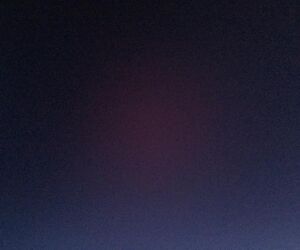 Nobody in part