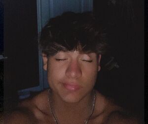 Ari