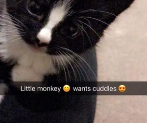 Deanojeffery33