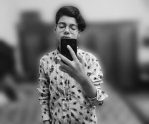 Anis
