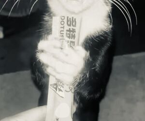Rob