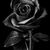 Juan_jose17