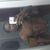 flyguy92