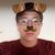 Adrian_rom