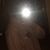 Charlie_kearney
