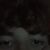 Jarrett 