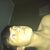 Jake2526