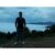 alirza_sh_hoseini