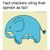Orphan-Account