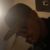 Jonathan.m